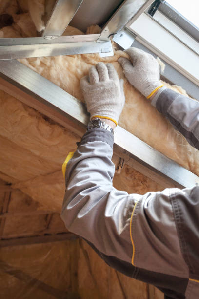 Best Residential Insulation Services  in Remlap, AL