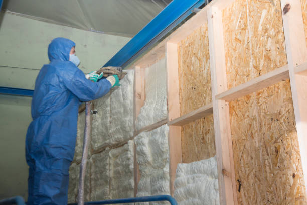 Best Best Insulation Companies  in Remlap, AL